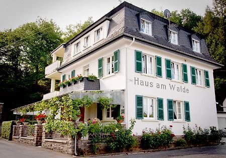 Pension "Haus Am Walde" Brodenbach, Mosel Exterior foto