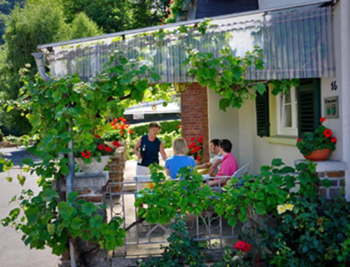 Pension "Haus Am Walde" Brodenbach, Mosel Exterior foto