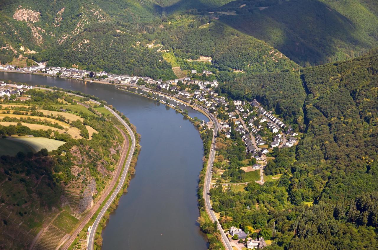 Pension "Haus Am Walde" Brodenbach, Mosel Exterior foto